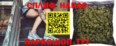 индика Коммунар