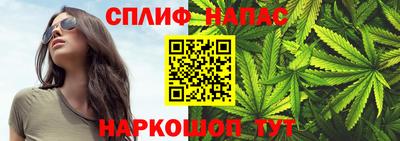 индика Коммунар