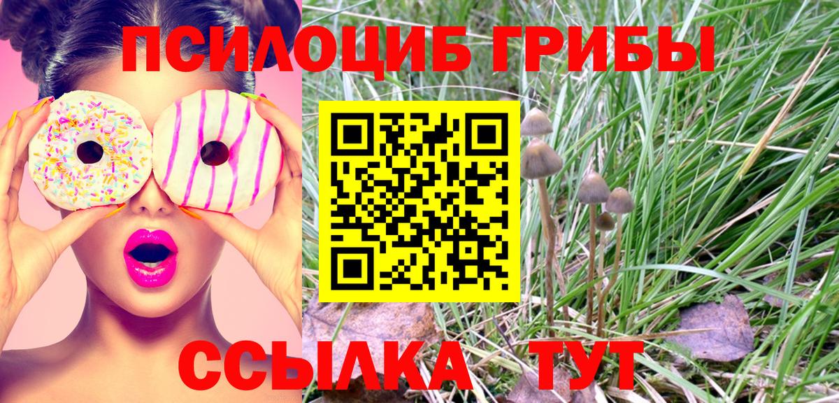 Псилоцибиновые грибы ЛСД Красноармейск