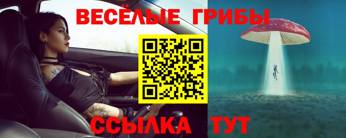 Галлюциногенные грибы ЛСД  Вход с VPN  Красноармейск 